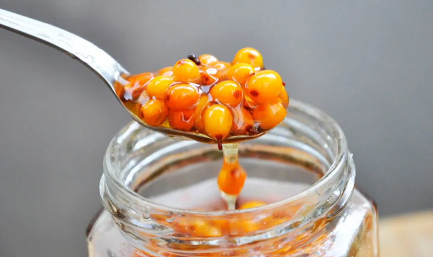 sea buckthorn contemporary cuisine